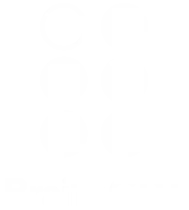 BrailleGPT